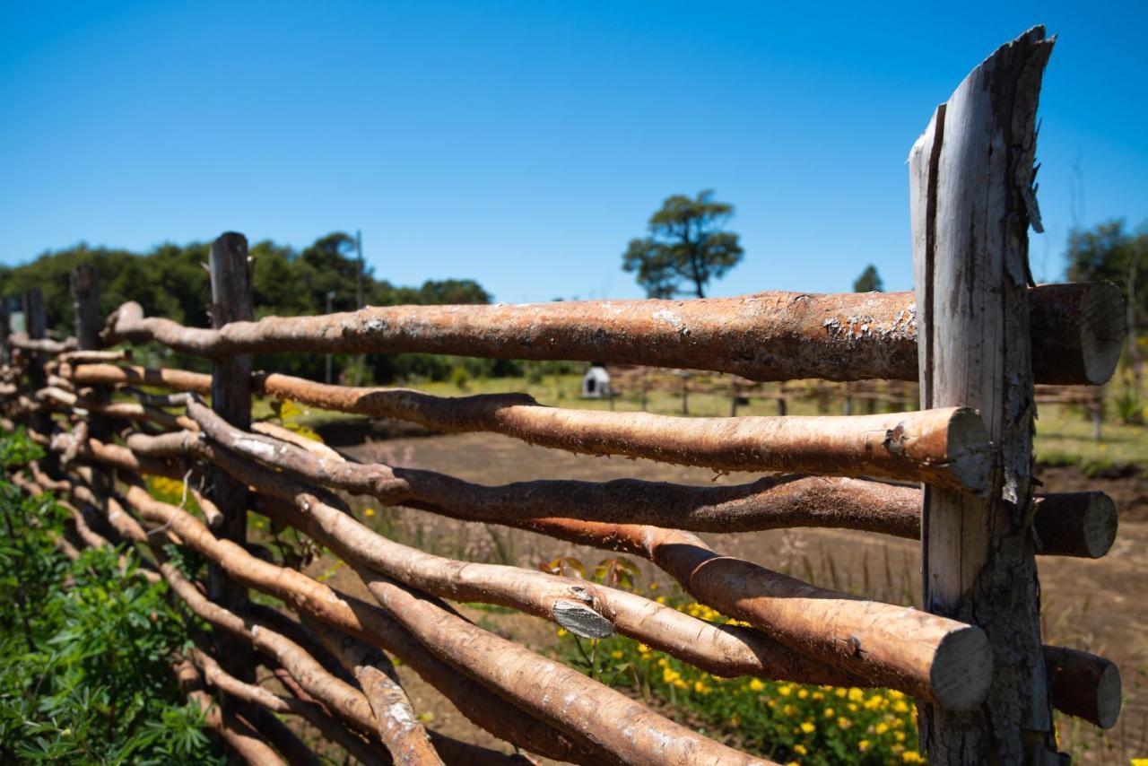 Cabanas Chiloeislife Countryside カストロ エクステリア 写真